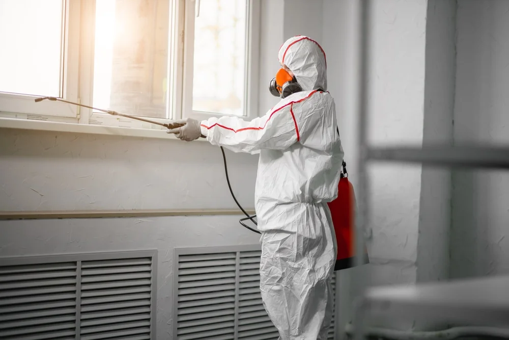 Professional mold remediation services in Holderness, NH